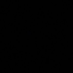 Meet your Posher, Daniella